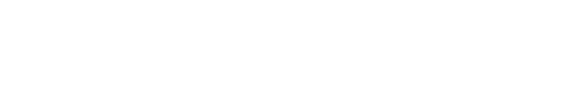 Logo CNS_Blanc_vDef (3)