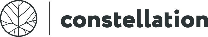 2024_Logo CNS_Noir (3)